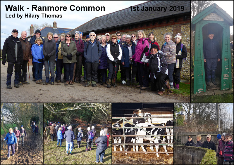 Walk - White Down & Dunley Hill on Ranmore Common - 1st January 2019